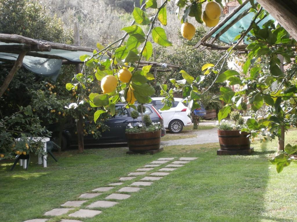 Villa De Angelis Sorrento Exterior photo